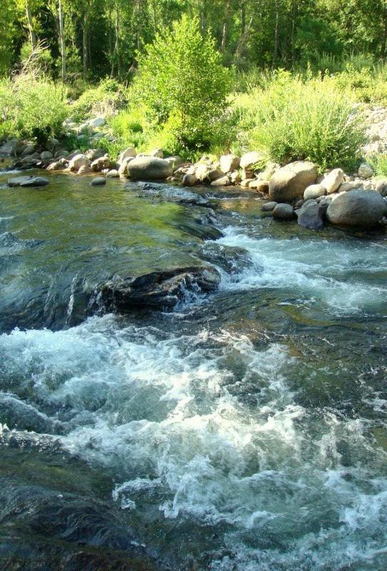 Camping Chantemerle Bédouès Dış mekan fotoğraf